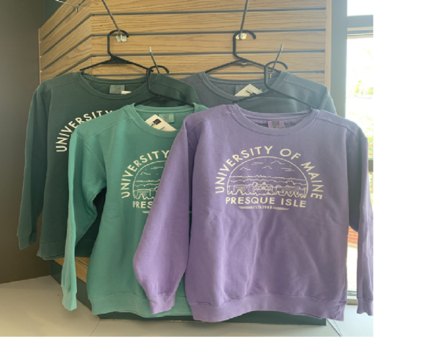 Picture of Green Crewneck Sweat Shirt